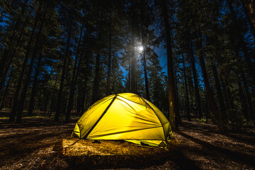 Camping under the moonlight