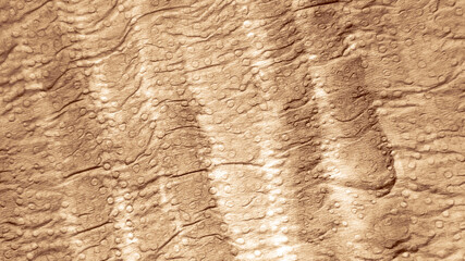 Modern Background. Striped Multicolor Texture.