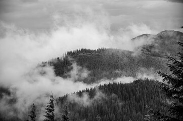 misty morning fog in mountains