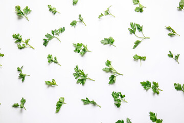 Fresh parsley on white background