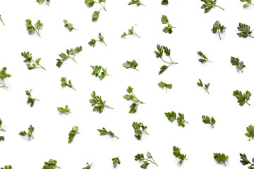 Fresh parsley on white background