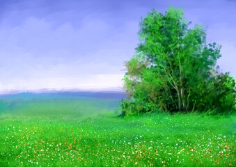Fototapeta na wymiar Digital paintings summer landscape, green grass and blue sky with clouds. Fine art.