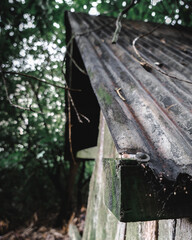 Corrugated iron rusting barn roof corner profile in woods