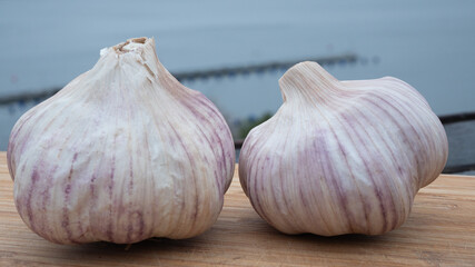 Locally farmed fresh garlic on wooden cutting board with the archipelago as background. Food and healthy ingredient concept.