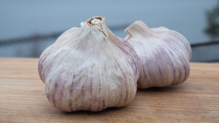 Locally farmed fresh garlic on wooden cutting board with the archipelago as background. Food and healthy ingredient concept.