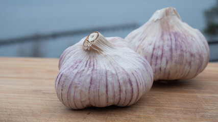 Obraz premium Locally farmed fresh garlic on wooden cutting board with the archipelago as background. Food and healthy ingredient concept.