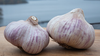 Locally farmed fresh garlic on wooden cutting board with the archipelago as background. Food and healthy ingredient concept.