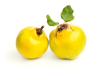 fresh quinces isolated on white background