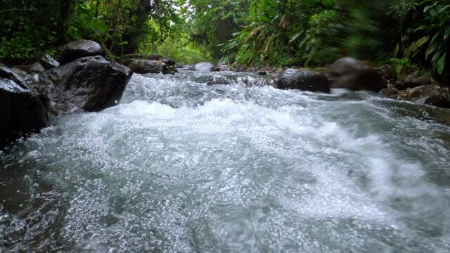 river in a tropical forest rainy day underwater shot slow motion Martinique 