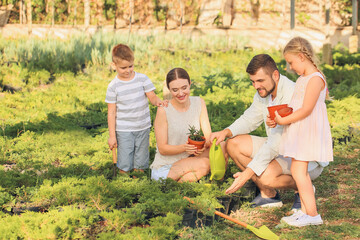 Fototapeta premium Young family working in garden