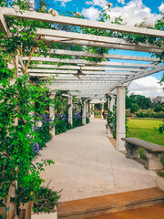 Lugar hermoso dentro del rosedal de Argentina