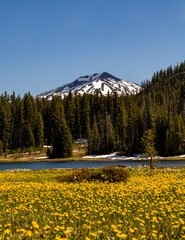 mountain across the meadow and lake
