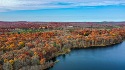 Foliage Leaves Lake and Sky