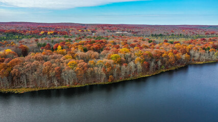 Fototapeta na wymiar Foliage Leaves Lake and Sky