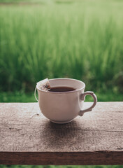 Focus Tea cup on the wooden table in morning. Green field rice background. Nature picture and space for text. Organic product from the nature for healthy with traditional. 