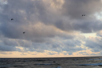 View of the evening sky over the ocean with birds in the sky