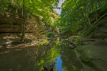 Fototapeta premium Shaded Green Canyon in the Summer