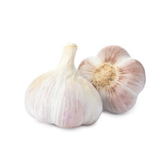 Fresh organic garlic bulbs on white background