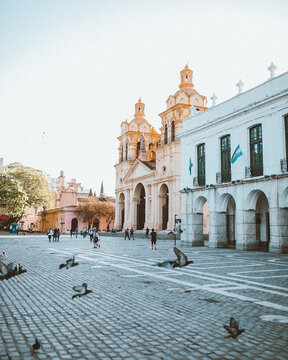 Edificios historicos y palomas volando