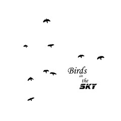 Fototapeta premium A flock of flying birds. Vector illustration