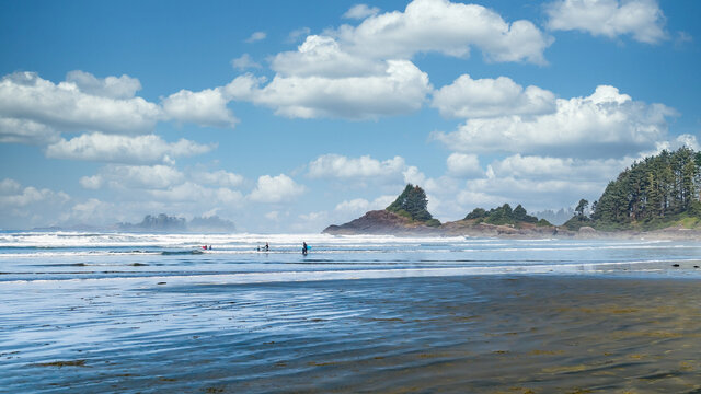 Surfers heading into the Pacific Ocean at Cox Bay Beach at the Pacific Rim National Park on Vancouver Island, British Columbia, Canada under Blue Sky