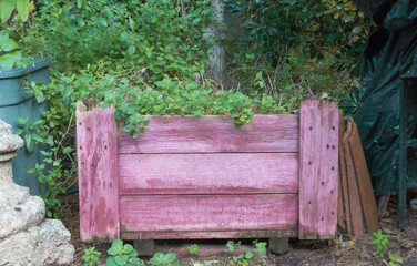 Wooden planter with garden plants, reddish