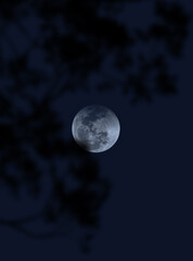 full blue moon in the night sky