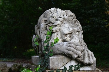 Old statue of sleeping lion guardian on rectangular stone column, with climbing plant English ivy growing from the left side. 