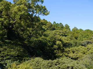 香川の金比羅山からの景色（View from Mt. Kompira in Kagawa）