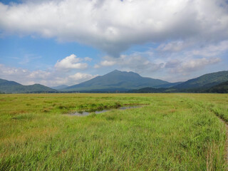 夏の尾瀬