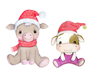 Cute cartoon cow, bull, calf - symbol of Ner Year 2021, illustration, icon. Isolated on white background.