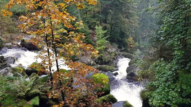 Static above view of Triberg waterfal in the forest of Schwarzwald, Black Forest Germany.