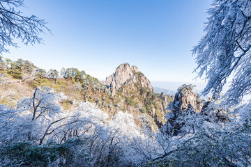 Fototapeta na wymiar Rime on a sunny afternoon in Huangshan Scenic Area, Anhui, China