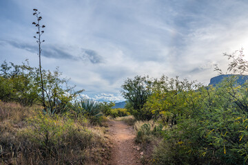 A gorgeous view of the landscape in Kartchner Caverns NP, Arizona