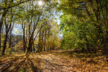 Naklejka premium The beautiful colors of the autumn near Diverting Reservoir in Brewster, N.Y.