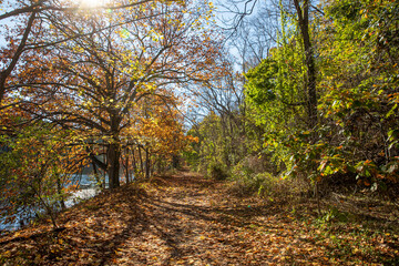 Fototapeta premium The beautiful colors of the autumn near Diverting Reservoir in Brewster, N.Y.