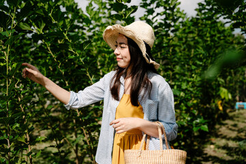 Obraz premium Traveler woman wear hat and hold basket in organic farm outdoors.