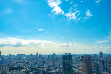 Fototapeta premium 東京 夕暮れの都市景観
