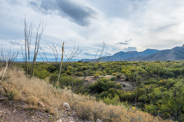 An overlooking view of Kartchner Caverns NP, Arizona