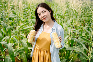 Asian farmer woman holding two raw corn in field outdoors.