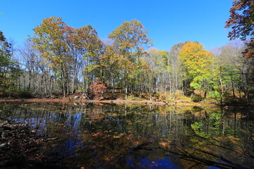 Fototapeta na wymiar The turtle pond reflects with fall colors along the Putnam Trailway in upstate New York.