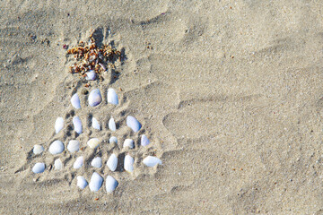 2021: drawing of a Christmas tree made of shells on the sand. copy space. New year on the beach
