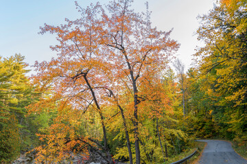 Fall foliage alongside a river and a road