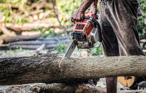 Dramatic style a logger sawing the wood by electric saw.