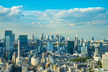 Fototapeta premium 【恵比寿ガーデンプレイスより】都内景観・眺望・渋谷・新宿副都心方面
