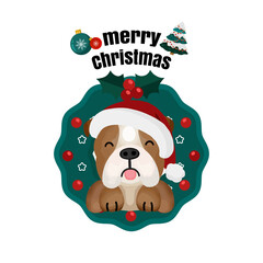 Christmas illustration with funny bull  dog.
