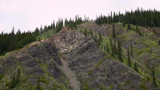 Forested, rocky mountain flank, dollie shot