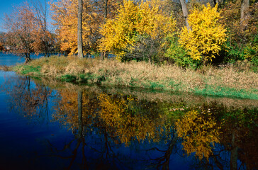 442-38 Prairie Creek Autumn Color Reflections