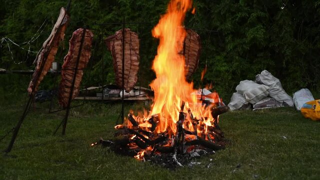 Meat Roasted at Stakes by Big Camping Fire at Night. Grilling Raw Meat in Outdoors, Close Up