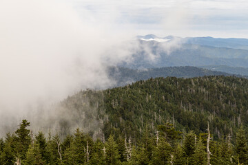 Fog rolling in over the Smoky Appalachian Mountains